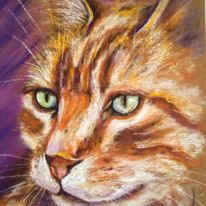 Chat roux aux yeux verts