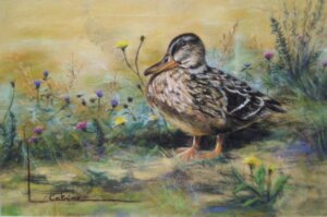 Canard au bord de l'eau dans un décor champêtre