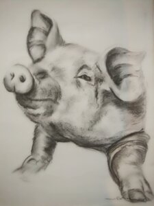 croquis d'un petit cochon rieur