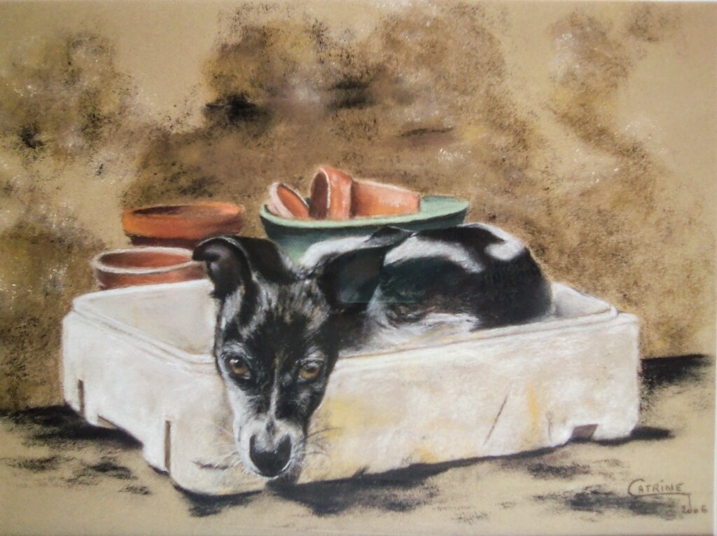 Petit chien triste couché dans une caisse entourée de pots au jardin