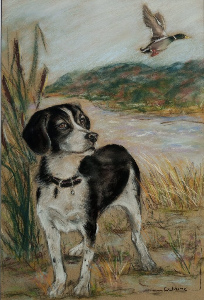 Chien de chasse qui regarde un vol de canard