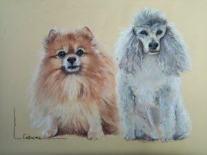 Deux chiens inséparables prennent la pose côte à côte