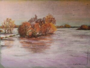 La Loire en crue à St Florent avec arbres en automne
