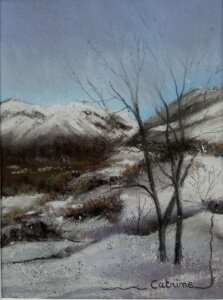 Vue plongeante sur la Vallée d'Argeles Gazost sous la neige