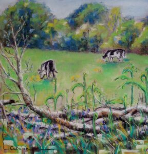 2 vaches dans un champs avec branchages devant au printemps