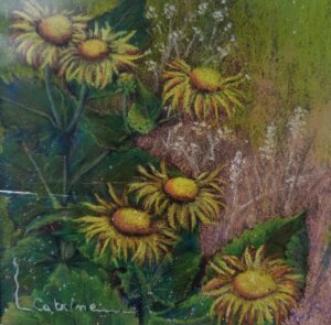 Gros plan sur des fleurs jaunes dans la nature