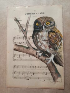 Une chouette sur une branche avec ses grands yeux jaunes