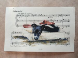 Petit chien triste endormi dans une caisse entourée de pots de fleur