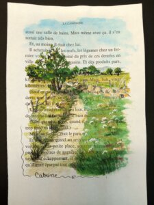 Chemin dans la nature parsemé de fleurs sauvages