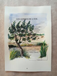 Paysage au bord de l'eau, arbre et roseau se plient sous le vent