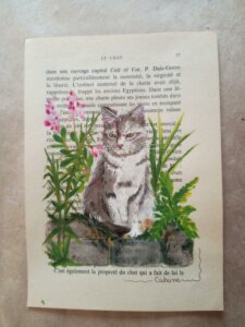 Chat gris assis sur un muret au milieu de fleurs vertes et roses