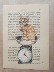 Chaton roux sur une balance ancienne