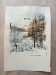 Paysage gelé de la montagne avec des grands sapins, des champs givrés