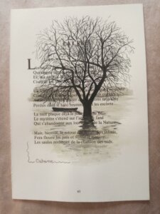 Arbre nu au milieu de la Loire en crue avec une barque échoué