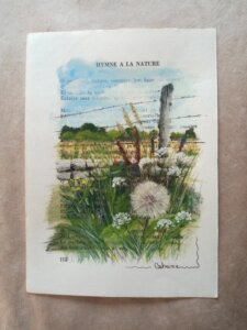 Chemin avec barbelé et poteau entouré de graminées