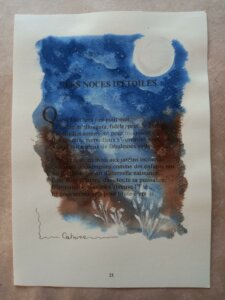 Paysage lunaire où la végétation scintille dans la nuit