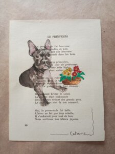 Chien race bouledogue français couché près d'un pot de fleurs