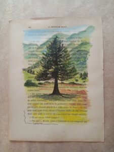 Un sapin en été au milieu de la montagne, sous un ciel bleu