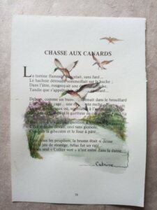 Envolée de canard près d'un étang