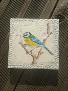 Mésange bleue posée sur une branche de pommier à fleurs roses