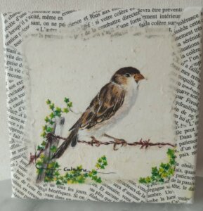 Petit moineau posé sur un barbelé avec des feuillages entremêlées