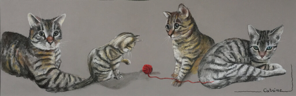 Une pelote de laine rouge permet la rencontre entre 2 chatons tigrés