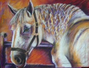 portrait d'un cheval de trait ton rouge et violet