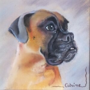 portrait profil d'un boxer sur fond bleu