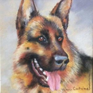 portrait berger allemand dans des tons couleur feu