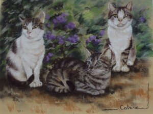 trio de chats aux pastels dans leur jardin
