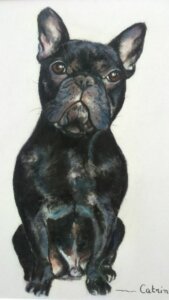 Petit bouledogue français noir assis