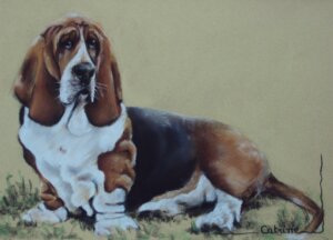 Basset Hound aux pastels sur fond beige