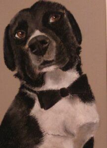 Portrait de chien avec un nœud papillon