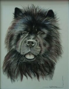 Portrait d'un show show noir aux pastels secs